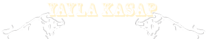 Footer Logo